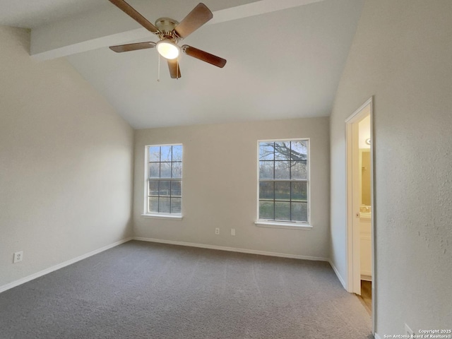 carpeted spare room featuring vaulted ceiling with beams, a wealth of natural light, and ceiling fan