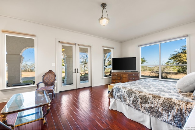 bedroom featuring dark wood-type flooring, french doors, and access to outside