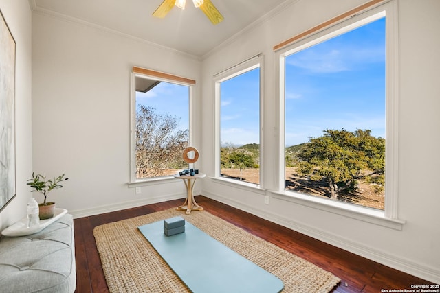 exercise area featuring crown molding, ceiling fan, and dark hardwood / wood-style flooring