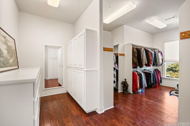 spacious closet with dark wood-type flooring