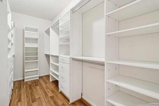 walk in closet featuring hardwood / wood-style floors