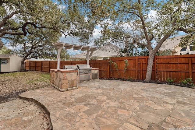 view of patio / terrace with an outdoor kitchen and area for grilling