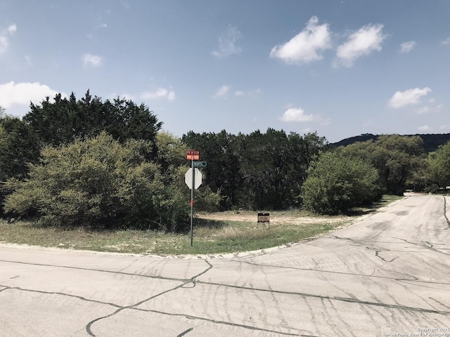 Listing photo 3 for LOT265 Private Road 1739, Mico TX 78056