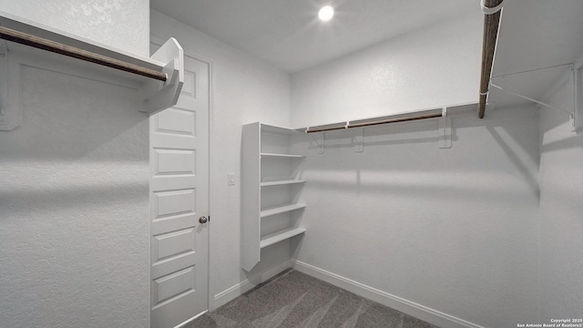 2606 Vistablue Ln, San Antonio, TX 78245 - walk in closet featuring dark carpet