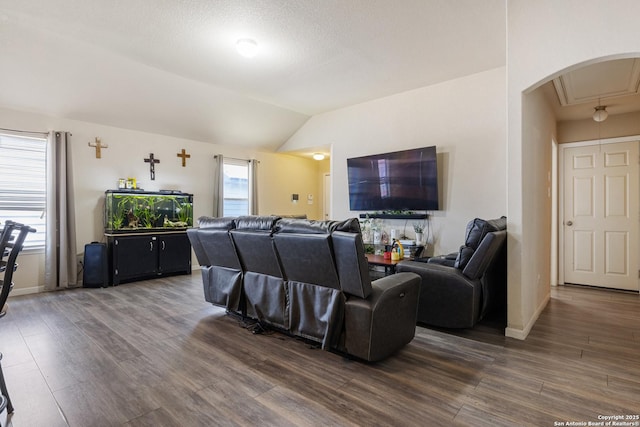 living room with dark hardwood / wood-style flooring and vaulted ceiling