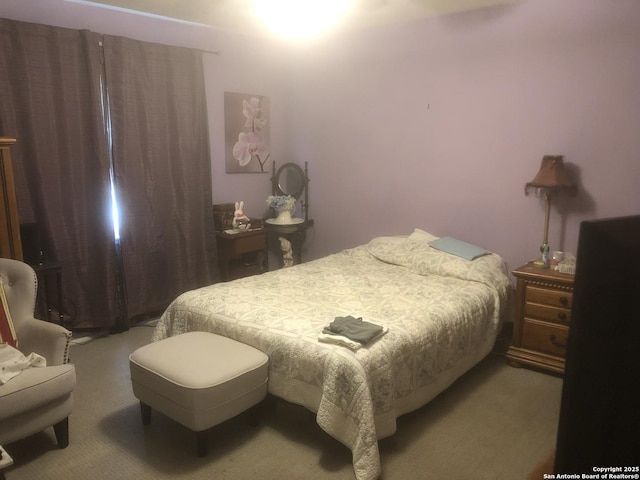 bedroom featuring carpet flooring