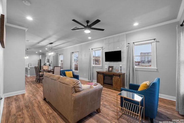 living room with crown molding, ceiling fan, wood-type flooring, and sink