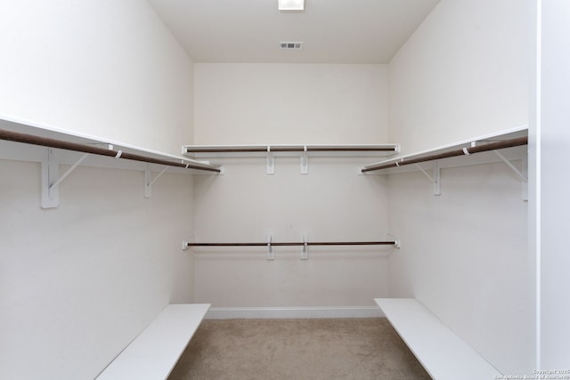 spacious closet with light colored carpet