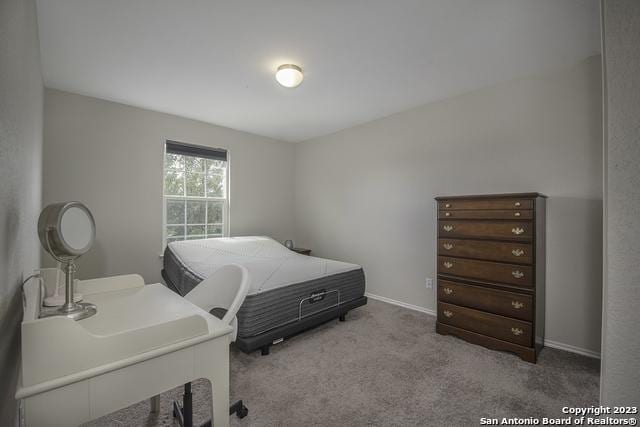 bedroom with light colored carpet