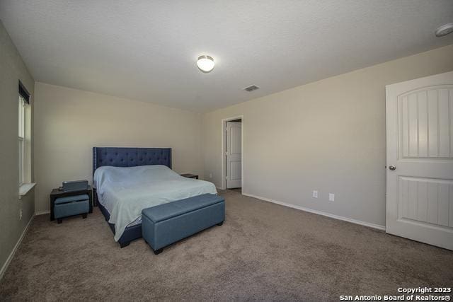 bedroom with carpet floors