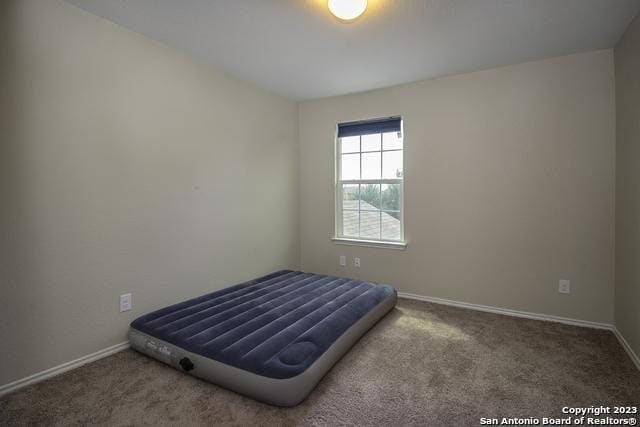 unfurnished bedroom with carpet flooring