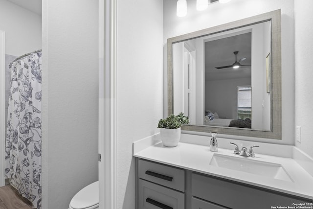 bathroom featuring vanity, a shower with shower curtain, and toilet