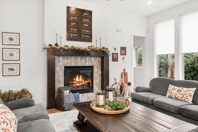 living room featuring a fireplace