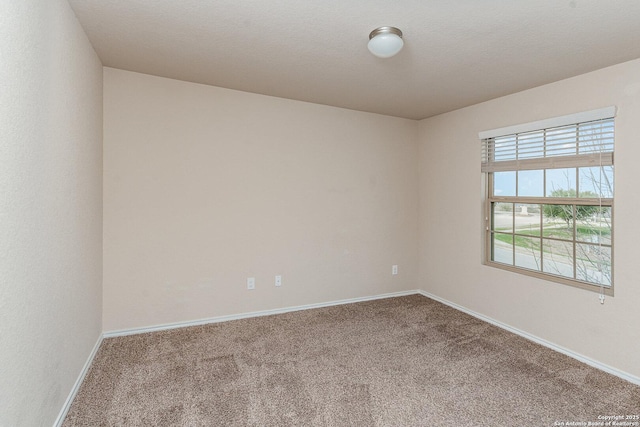 unfurnished room with carpet