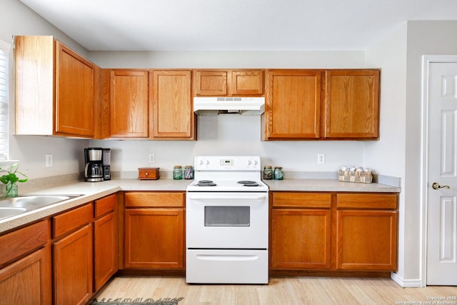 kitchen with sink, light wood-type flooring, and electric range