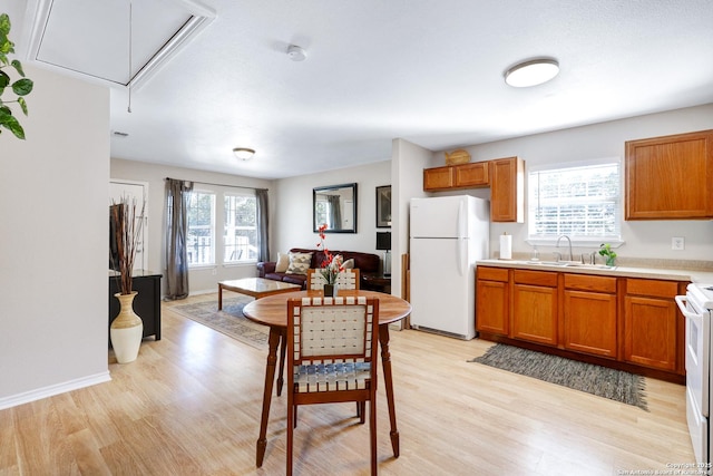 kitchen with white appliances, light hardwood / wood-style floors, sink, and a wealth of natural light