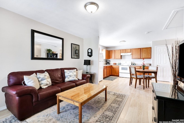 living room with light hardwood / wood-style floors