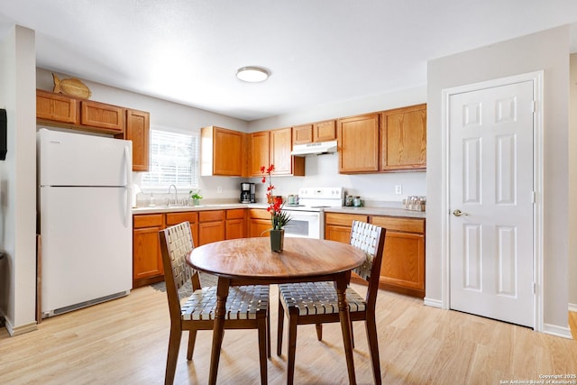 kitchen featuring white appliances, sink, and light hardwood / wood-style flooring