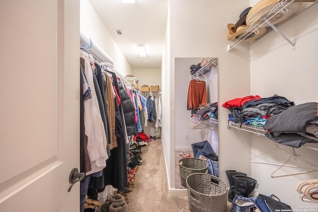 walk in closet with carpet floors