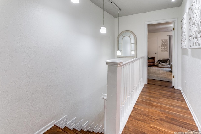 hall with dark hardwood / wood-style flooring