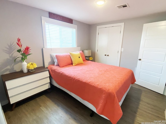 bedroom featuring dark wood-type flooring and a closet