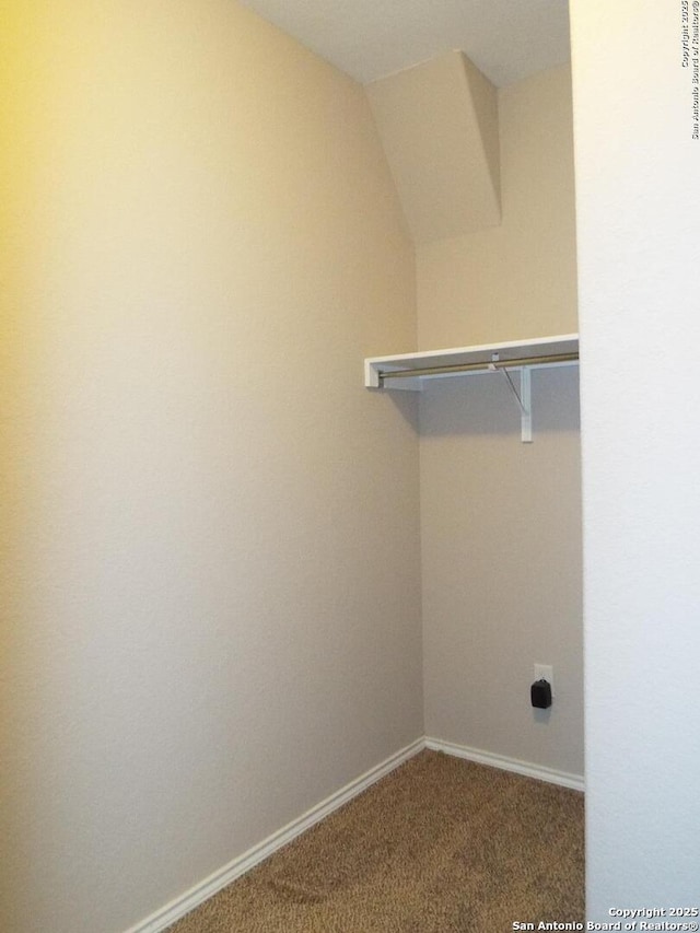 clothes washing area with carpet floors