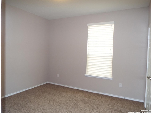 unfurnished room with carpet