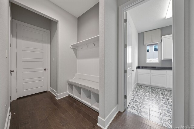 mudroom with dark wood-type flooring