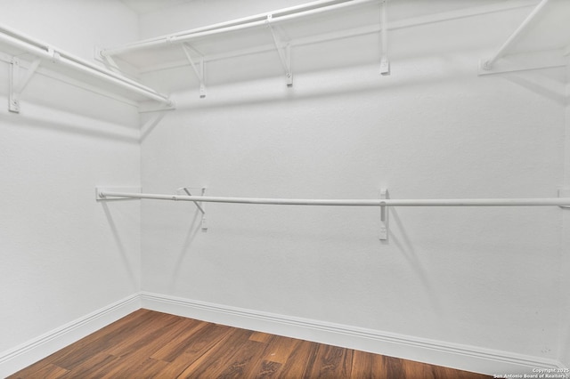 walk in closet featuring hardwood / wood-style flooring