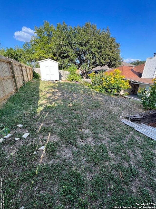 view of yard with a storage unit