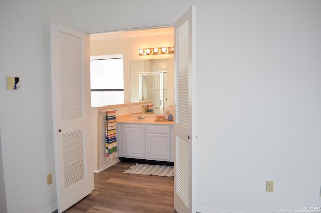 bathroom with vanity and hardwood / wood-style floors