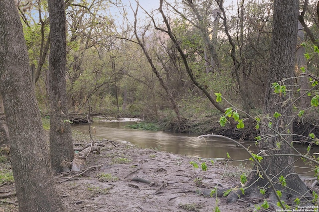 view of local wilderness