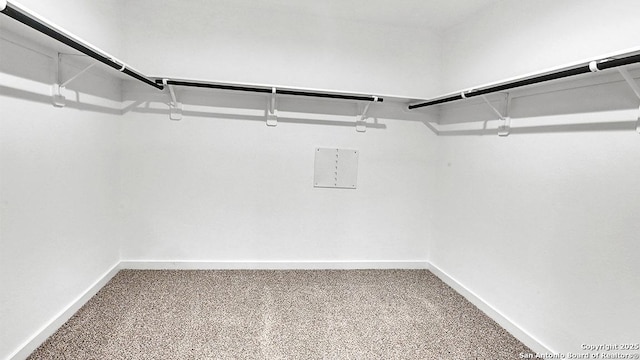 spacious closet with carpet