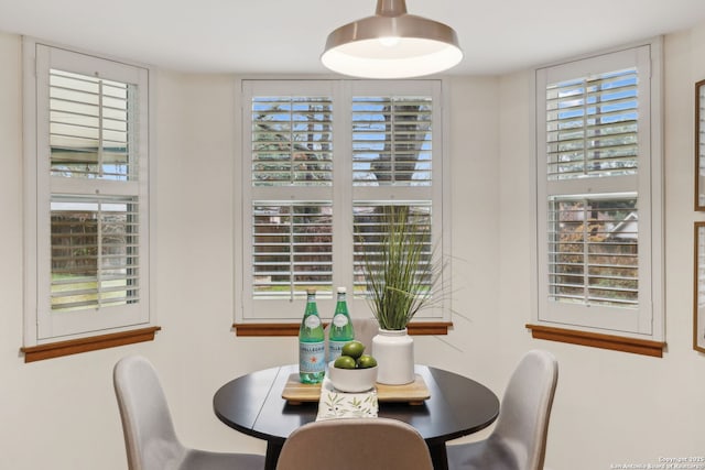 dining area featuring a healthy amount of sunlight