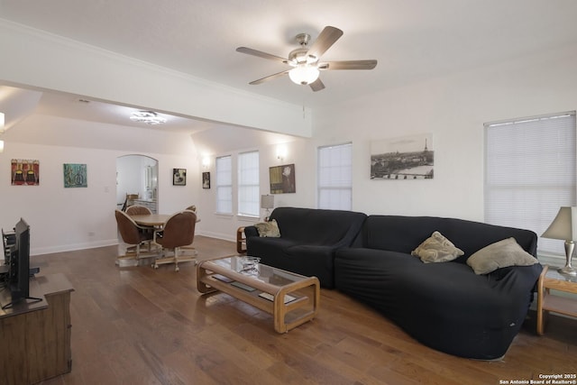 living room featuring ceiling fan, ornamental molding, and dark hardwood / wood-style floors