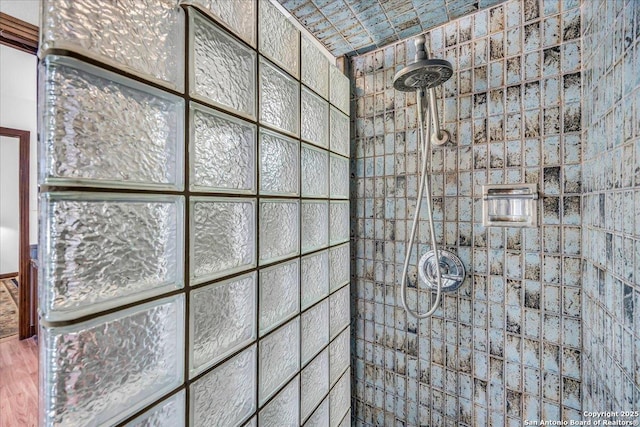 bathroom with a shower