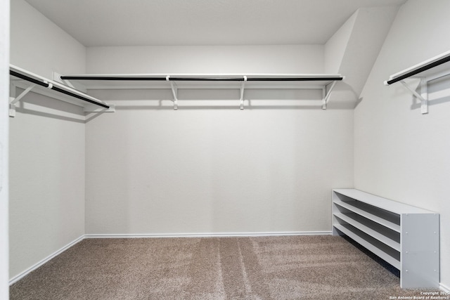 spacious closet featuring dark colored carpet