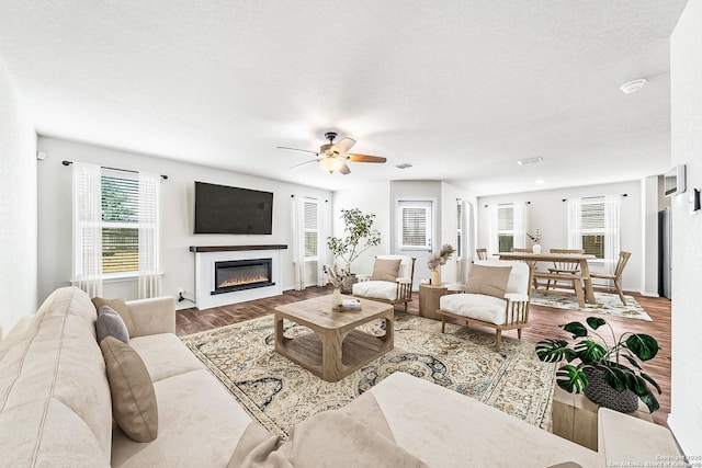 living room with wood-type flooring, ceiling fan, and a textured ceiling