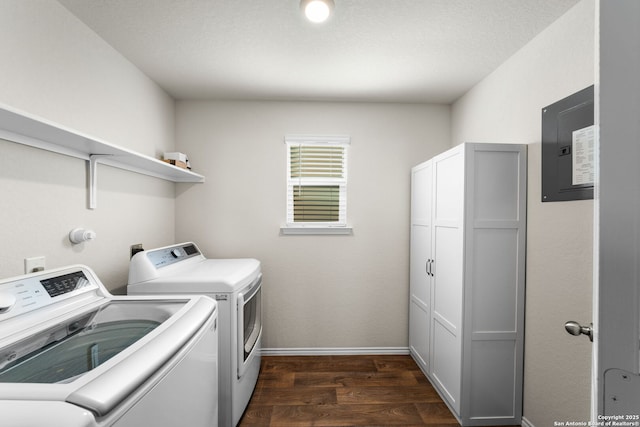 clothes washing area featuring separate washer and dryer, dark wood-type flooring, electric panel, and cabinets