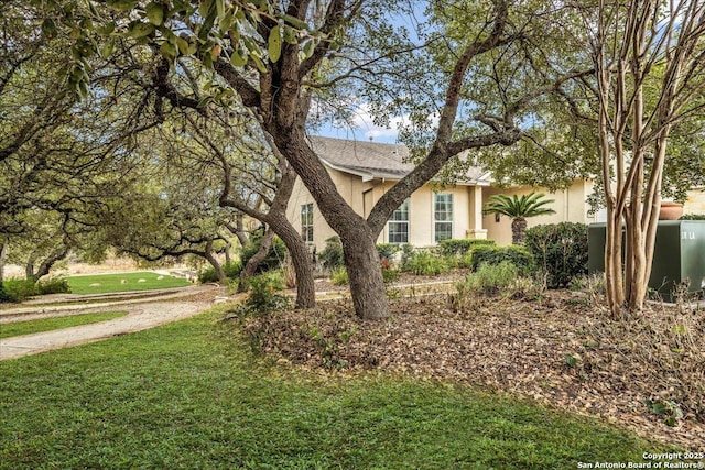 view of front facade featuring a front yard