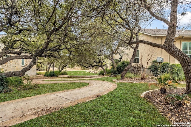 view of property's community featuring a yard