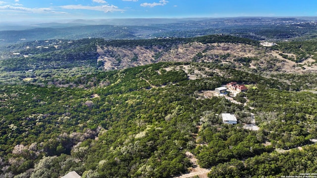 bird's eye view featuring a mountain view and a view of trees