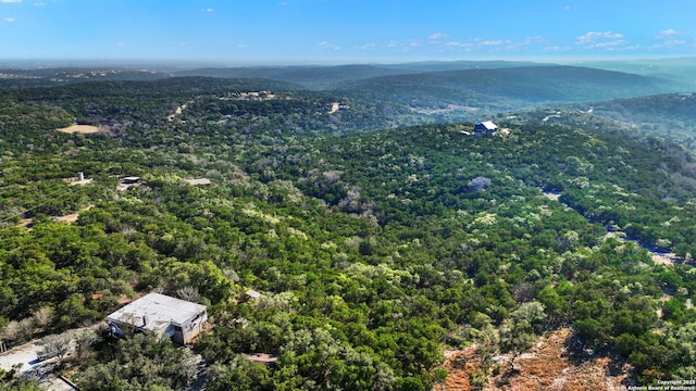 aerial view with a mountain view and a wooded view