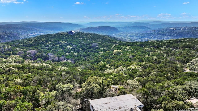 exterior space featuring a forest view and a mountain view