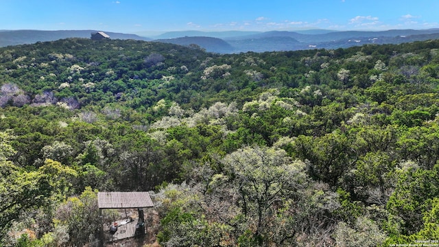 view of mountain feature with a view of trees