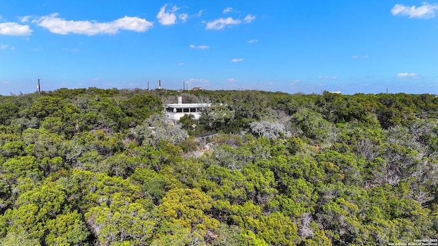 bird's eye view with a forest view