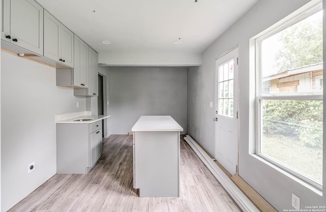 kitchen featuring light hardwood / wood-style flooring and a center island