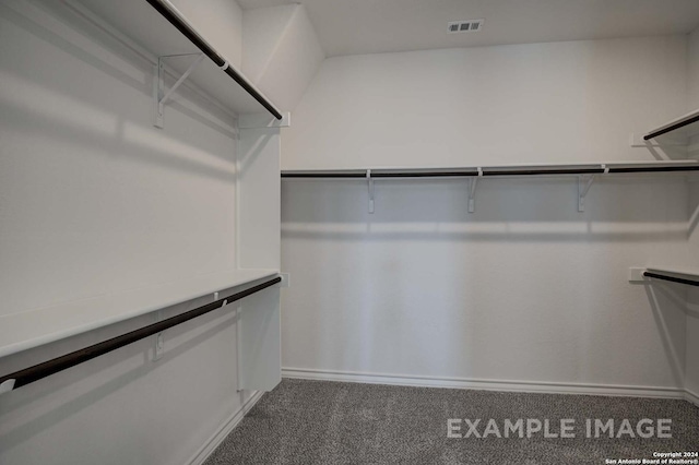 spacious closet with carpet floors