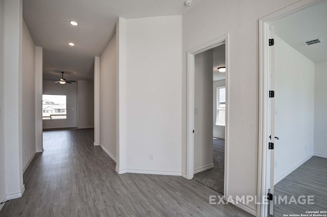 hallway with a wealth of natural light and wood-type flooring