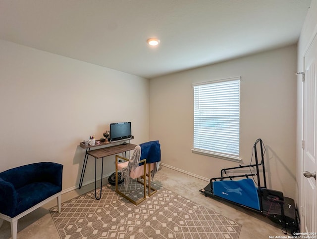 view of carpeted office space